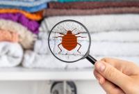 California Bed Bug Exterminators image 3